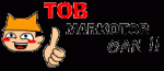 Topgan 3
